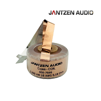 Cuộn cảm 0.3mH Jantzen-Audio Cross Coil