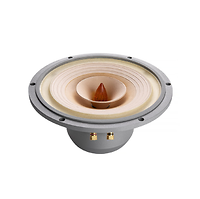 Củ loa toàn dải 25cm Lii Song Fast-10