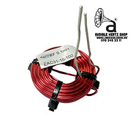 Cuộn cảm 0.1mH Erse-Audio Air core DCR 0.121 OHM