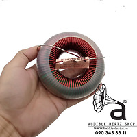 Cuộn cảm 6.2mH Jantzen C-coil