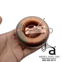 Cuộn cảm 9mH Jantzen C-coil