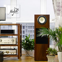 Loa toàn dải cao cấp Fostex FE208EZ (Sigma series)