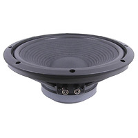 Củ loa bass rời cao cấp 30cm Fostex FW305