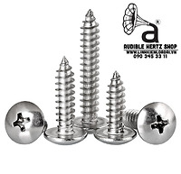 Vít gỗ đầu dù 4 cạnh Inox bắt loa M3 (Combo 20 con)