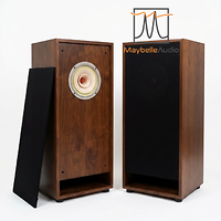 Loa toàn dải 20cm Lii Song Fast-8