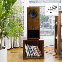 Loa bookshelf toàn dải 16cm Visaton BG 17, giá của cặp