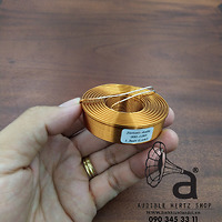 Cuộn cảm 1.5mH Jantzen-Audio Air core