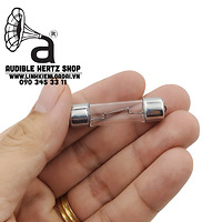Bóng đèn cầu chì bảo vệ loa tép