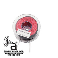 Cuộn cảm 0.3mh Erse dây 1.2mm AIR CORE