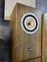 Loa toàn dải 20cm Lii Audio Silver-8