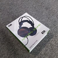 Tai nghe ESS RLM 713 của Mỹ