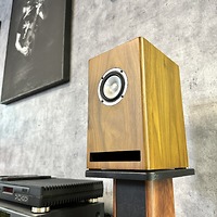 Loa bookshelf toàn dải 8cm Lii Audio AL-3