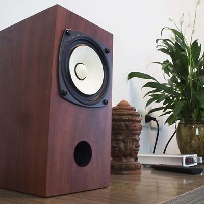 Loa bookshelf 10cm Fostex FE103EN