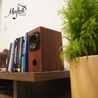 Loa bookshelf toàn dải 10cm Fostex P1000K