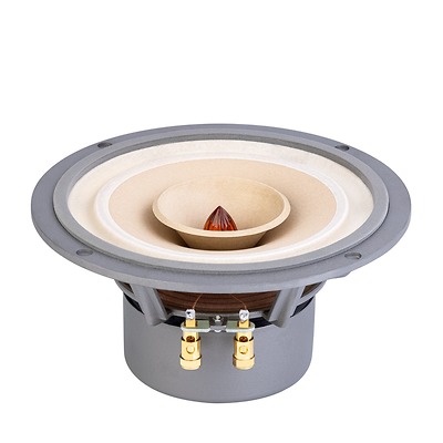 Củ loa rời toàn dải 20cm Lii Audio Fast-8