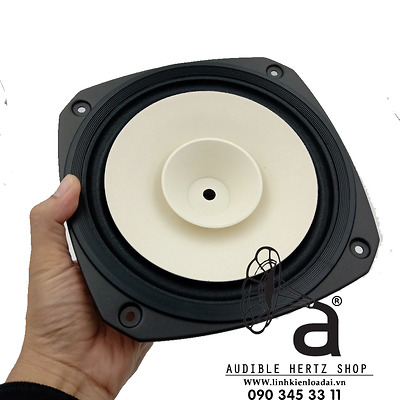 Củ loa rời toàn dải 20cm Fostex FE206NV