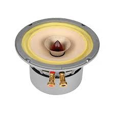 Thanh lý củ loa toàn dải 16cm Lii Song Fast-6