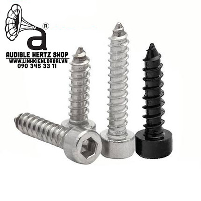 Vít gỗ lục giác bắt loa mạ niken M3 - M3.5 (Combo 10 con)