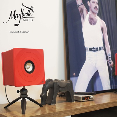 Loa bookshelf Markaudio Tozzi One Kit