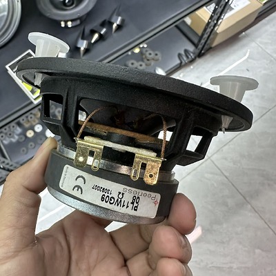 Thanh lý củ loa bass 10cm PL11WG09 của Peerless thời còn sản xuất tại Đan Mạch