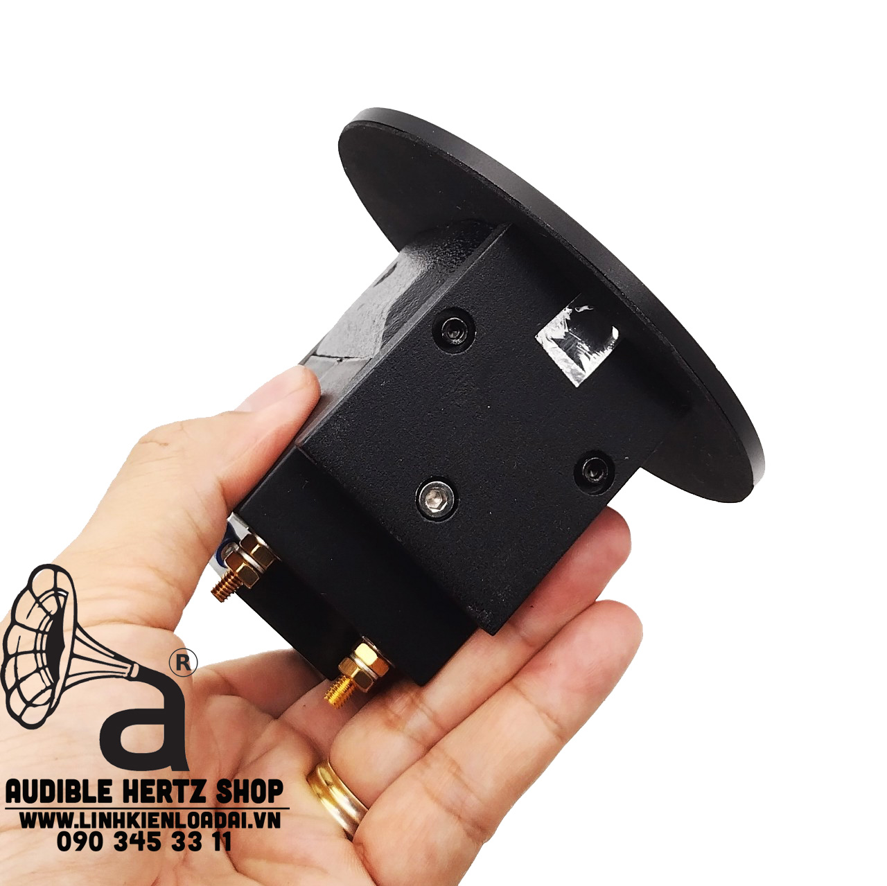 Aurum new arrivals cantus g2si